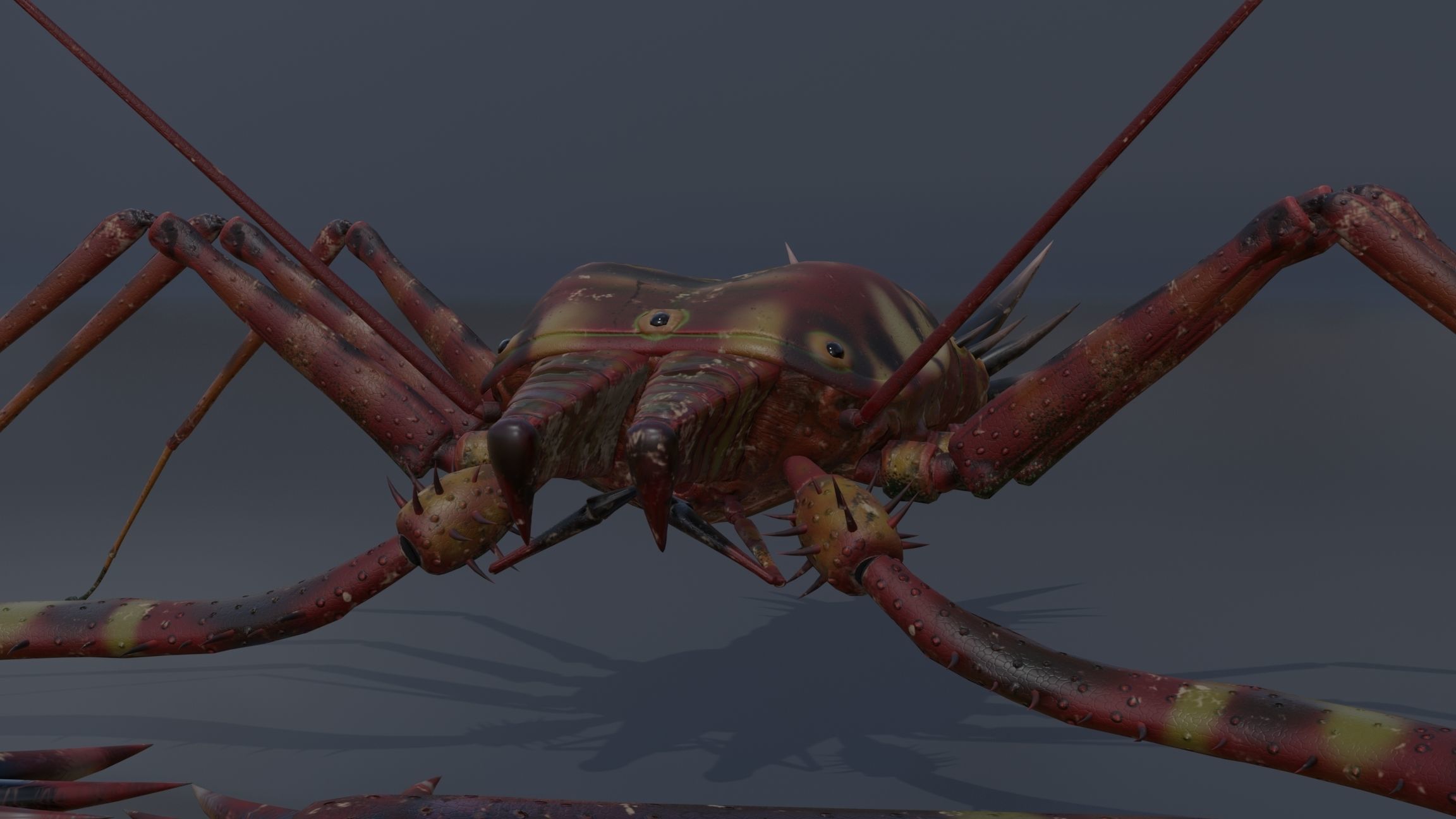 Giant Tick Low-poly 3D model_33