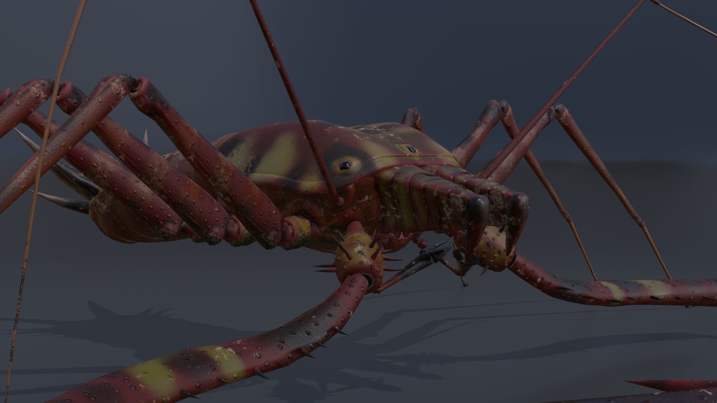 Giant Tick Low-poly 3D model_22