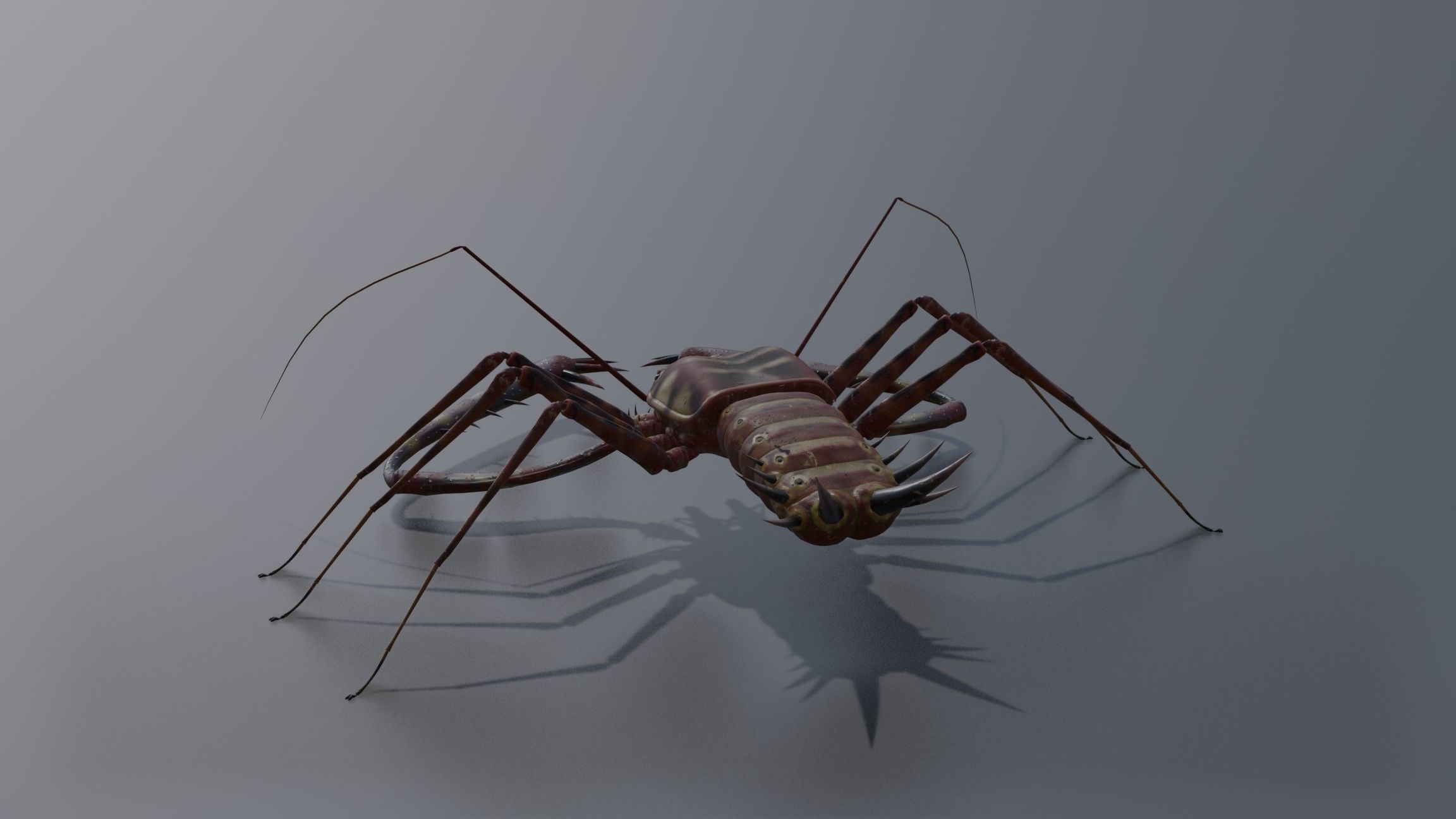Giant Tick Low-poly 3D model_14