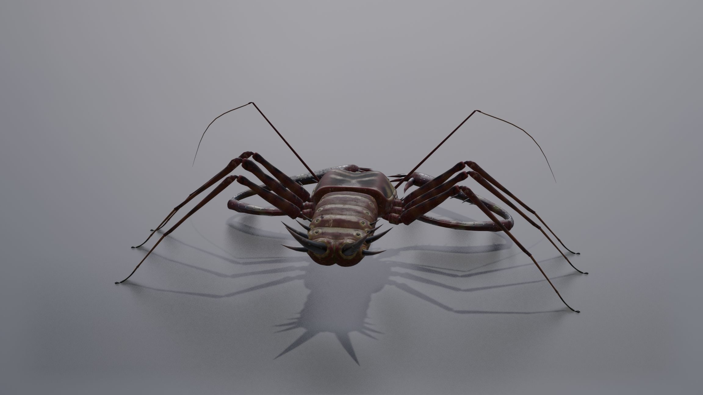 Giant Tick Low-poly 3D model_15
