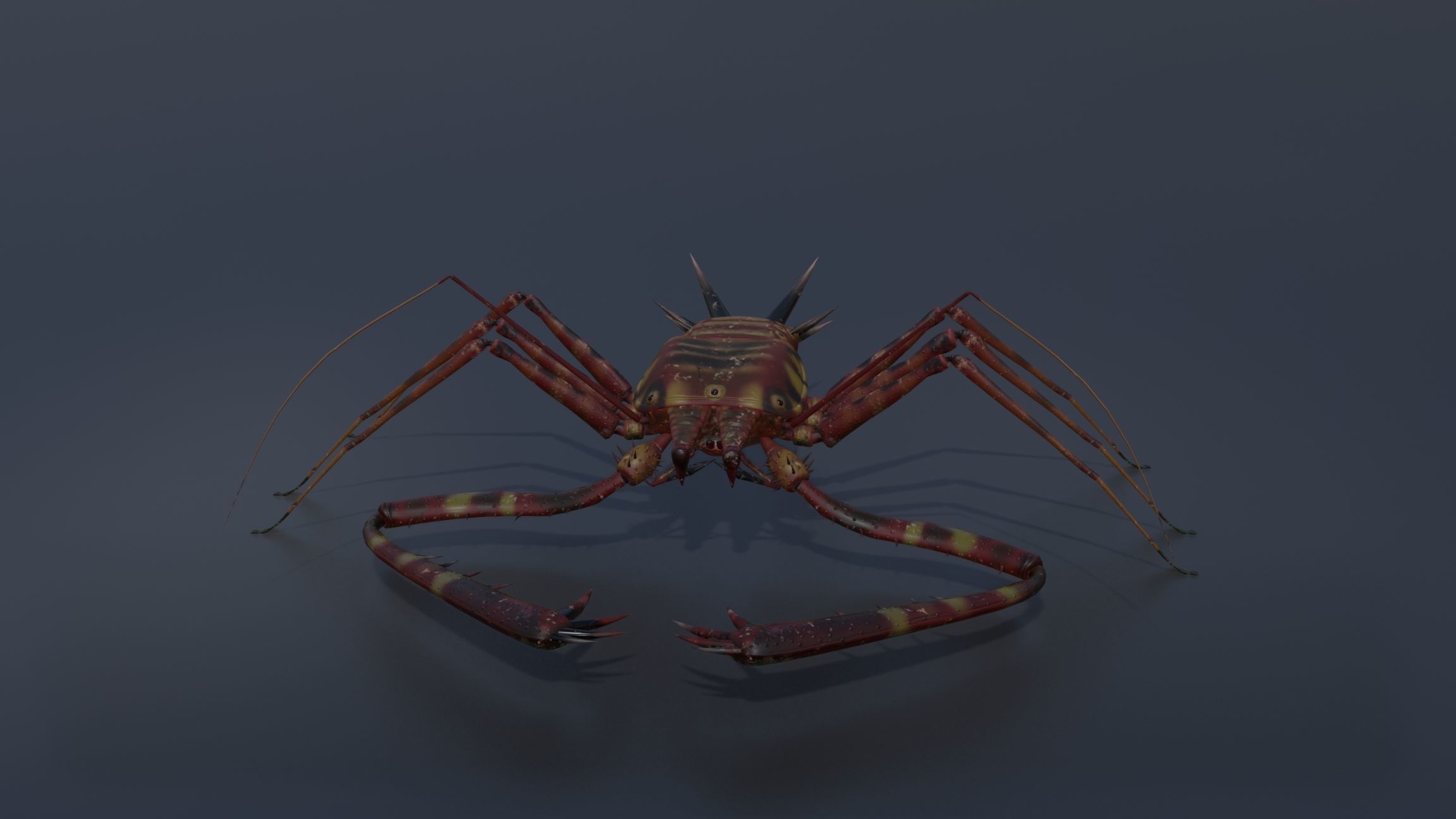 Giant Tick Low-poly 3D model_9