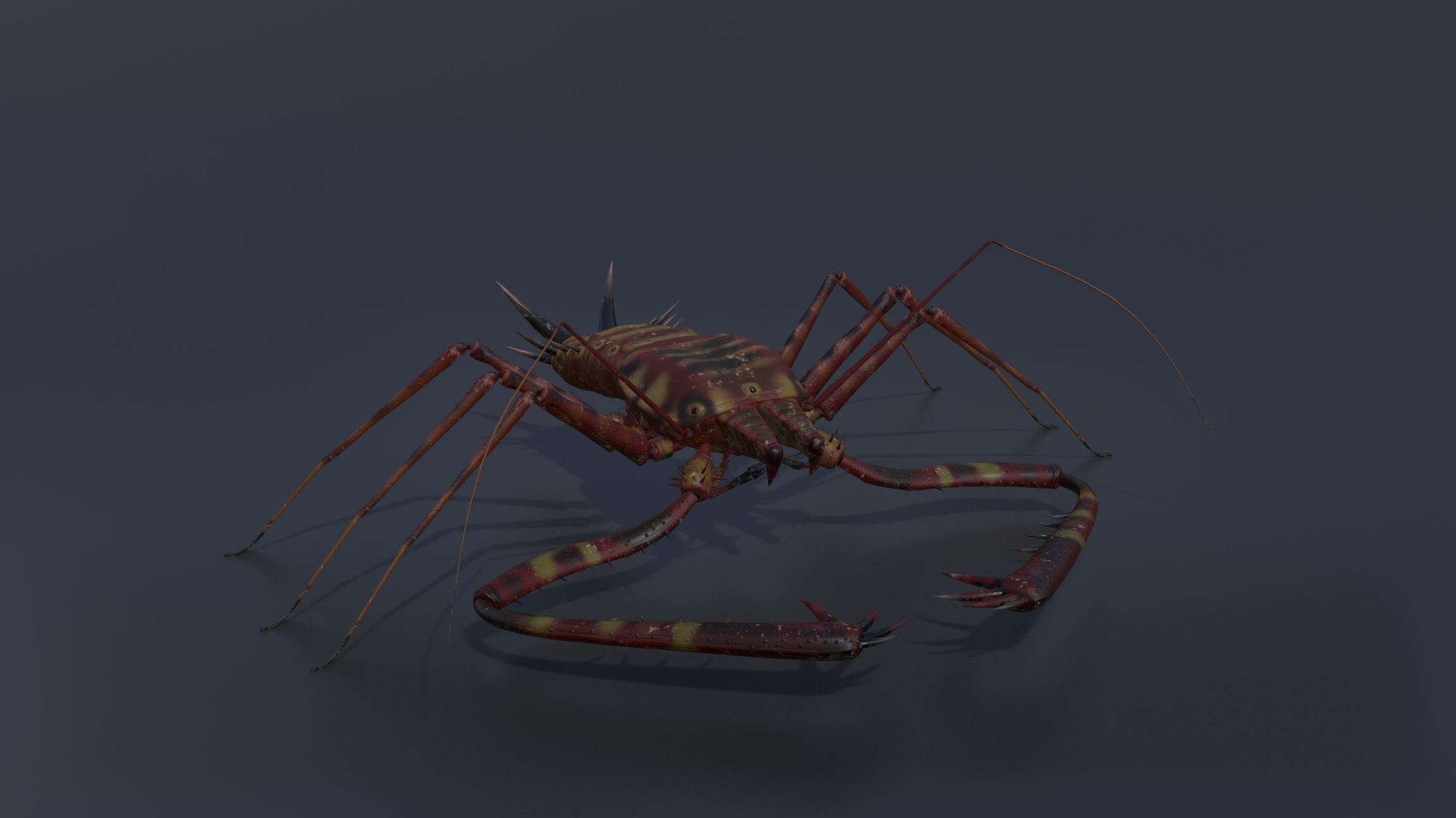 Giant Tick Low-poly 3D model_7