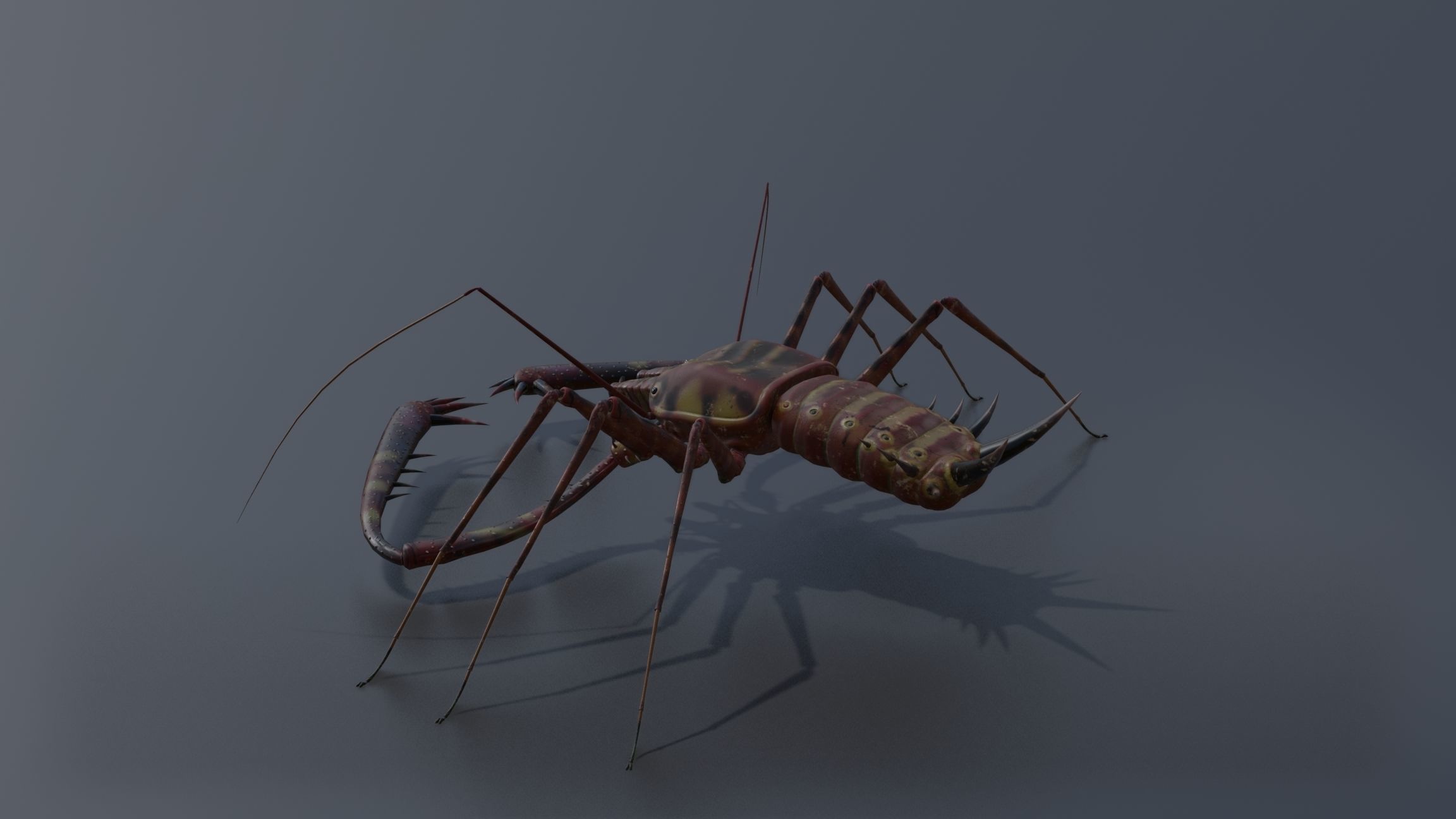 Giant Tick Low-poly 3D model_13