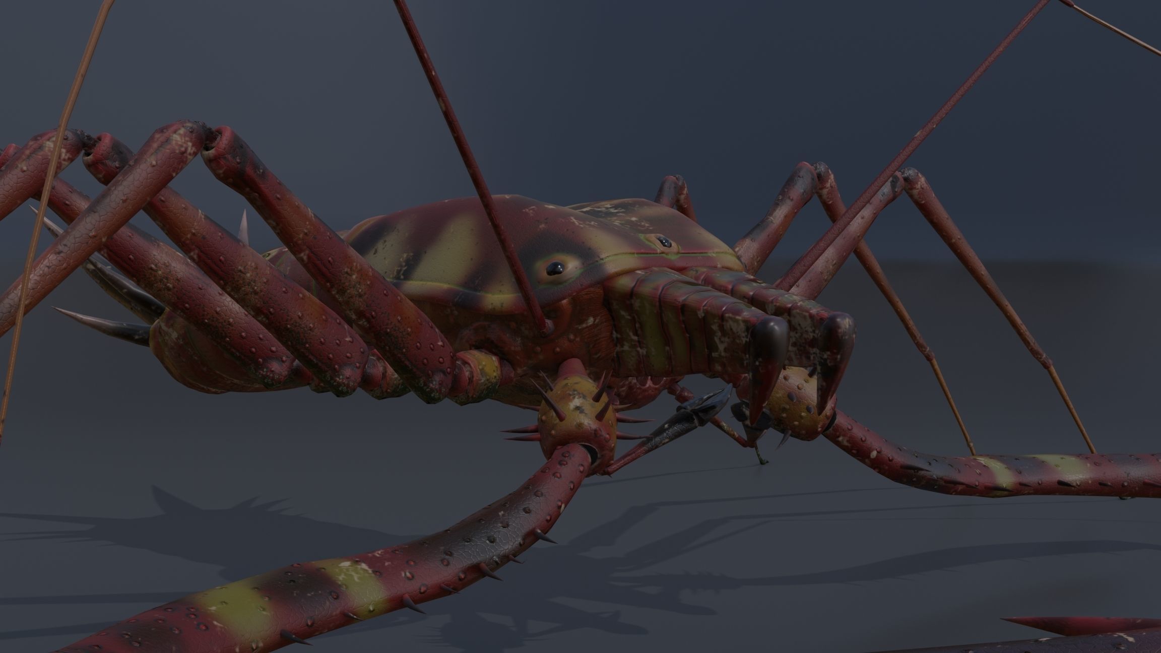 Giant Tick Low-poly 3D model_0
