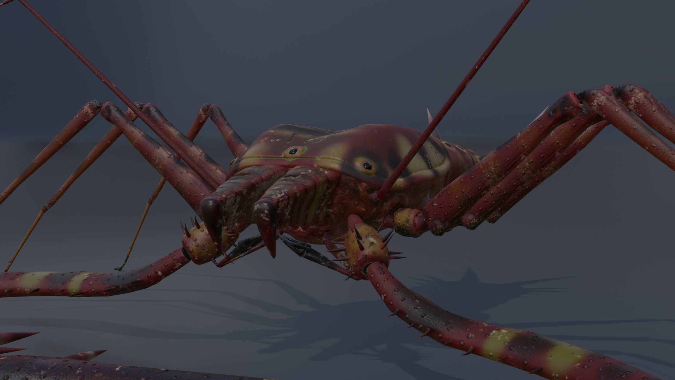 Giant Tick Low-poly 3D model_37