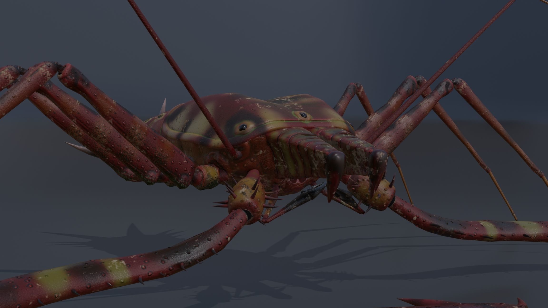 Giant Tick Low-poly 3D model_25
