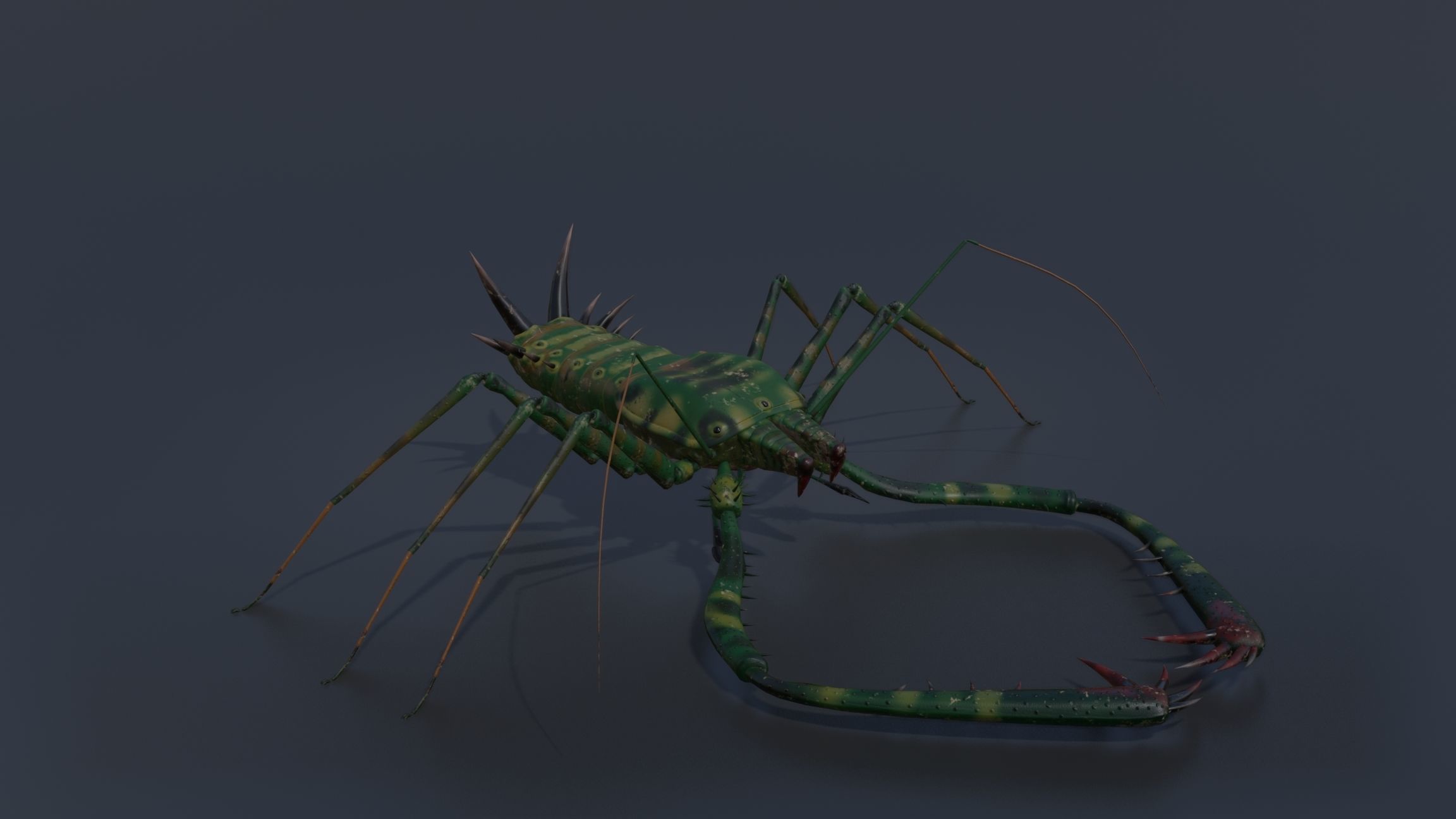 Giant Tick Low-poly 3D model_4