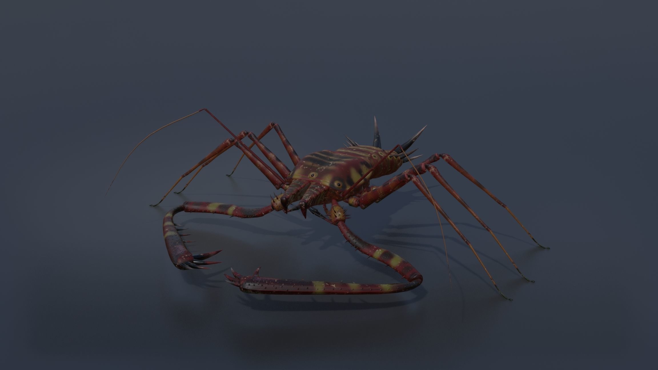 Giant Tick Low-poly 3D model_10