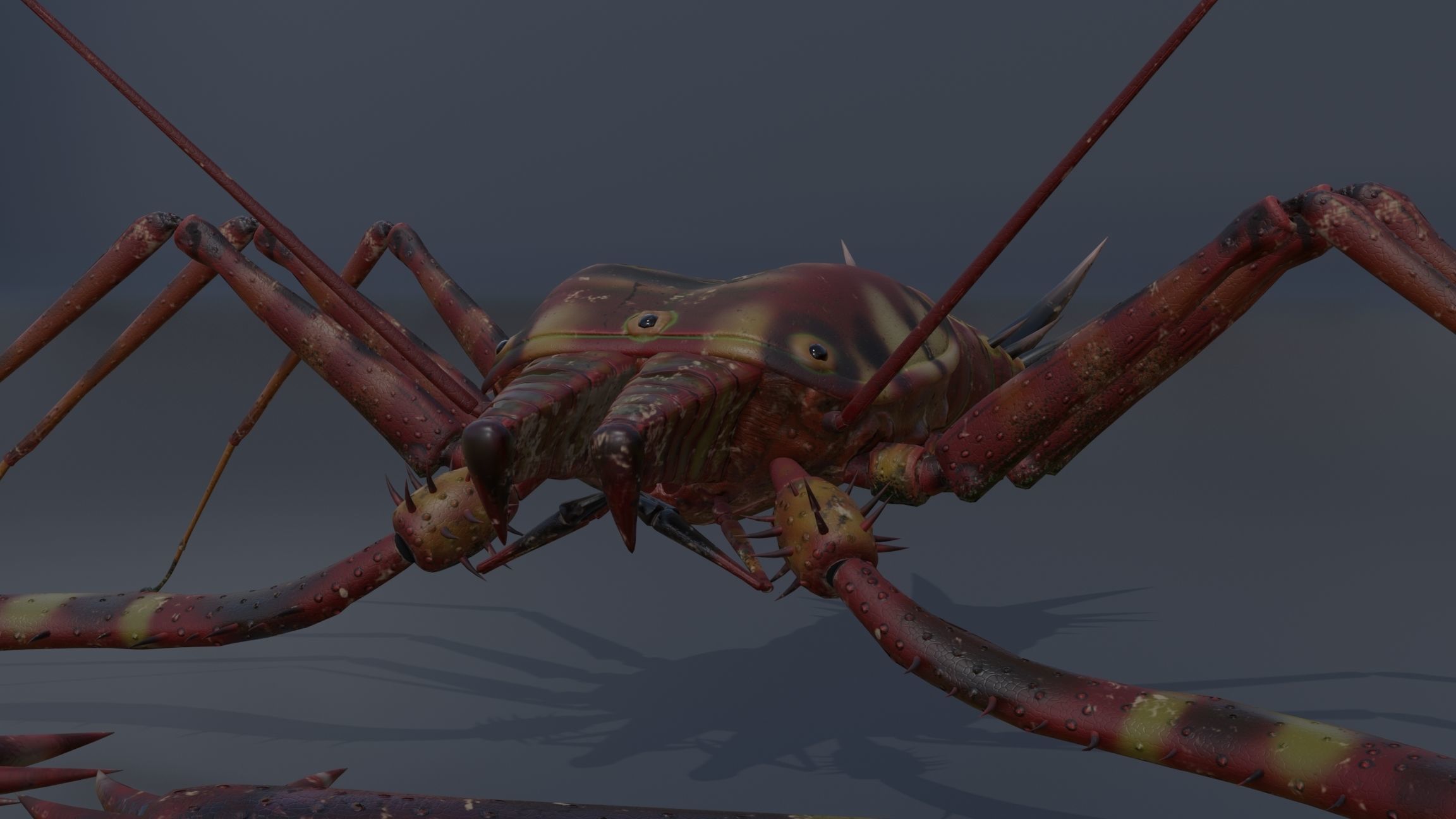 Giant Tick Low-poly 3D model_34