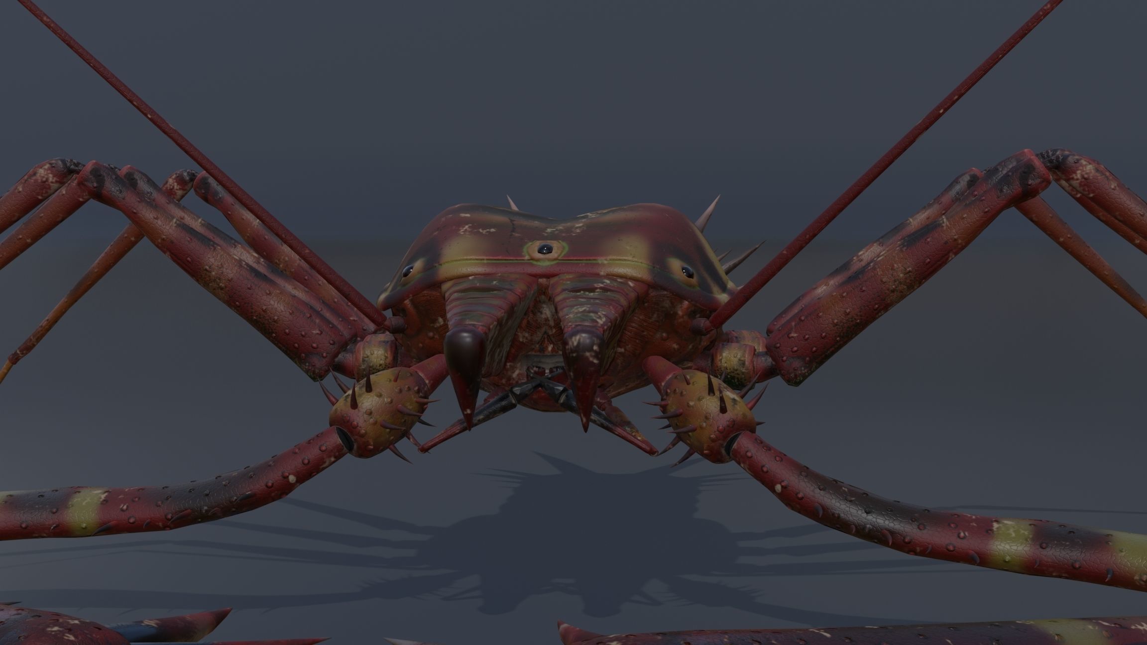 Giant Tick Low-poly 3D model_31