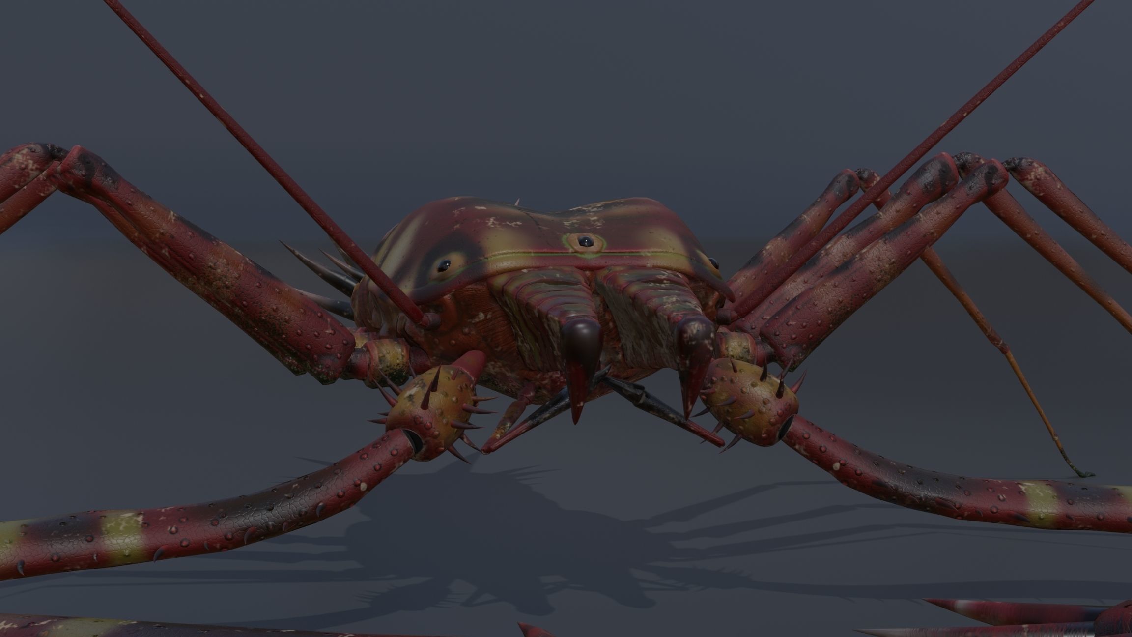 Giant Tick Low-poly 3D model_28