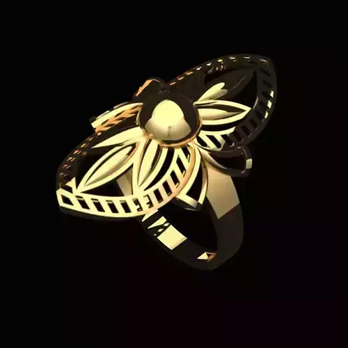 -  a Profishnal and Modern Beautiful Ring