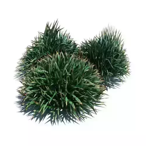 Round Decorative Grass