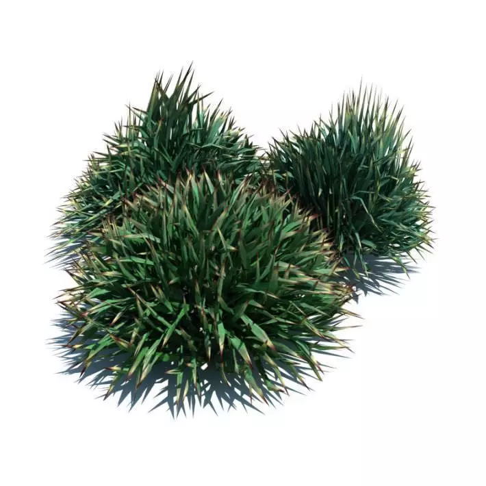 Round Decorative Grass 3D model_0