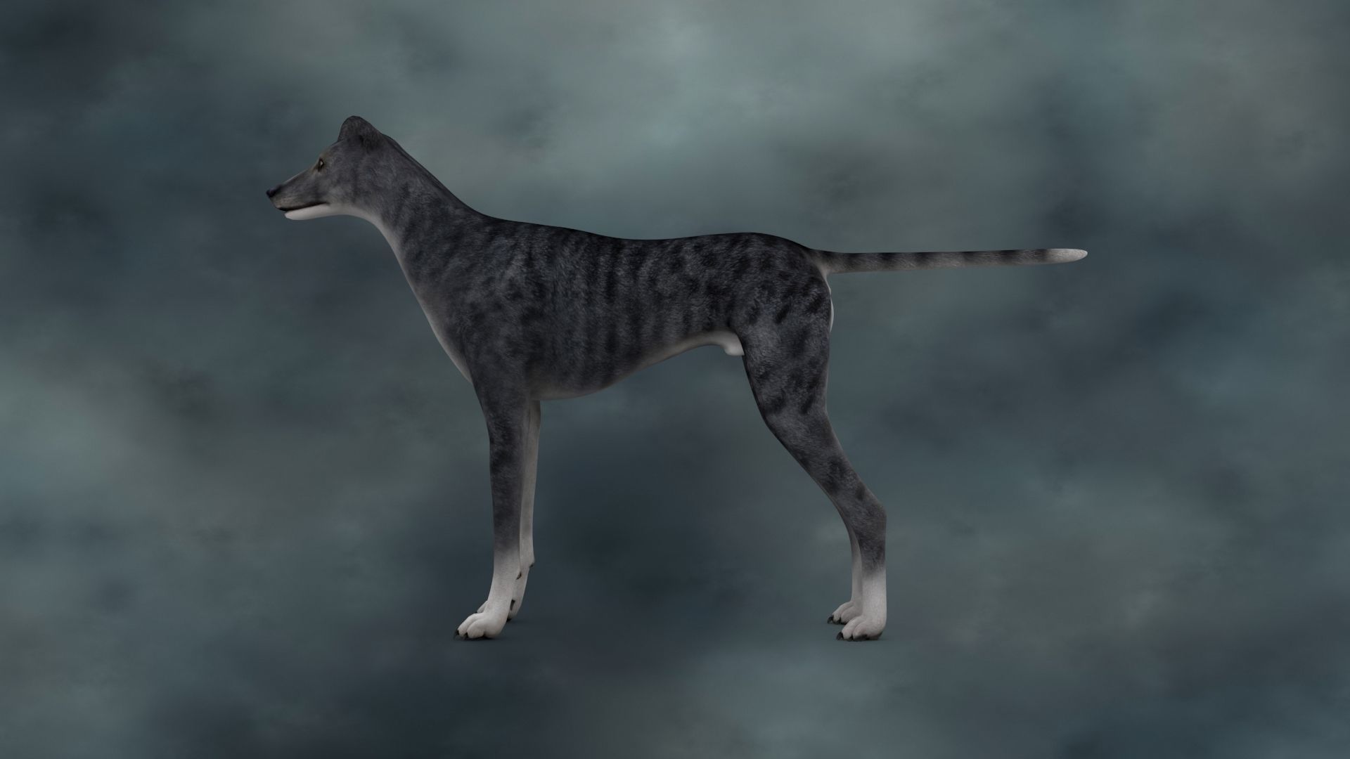 MDGH-003 Rigged Dog 3D model_2