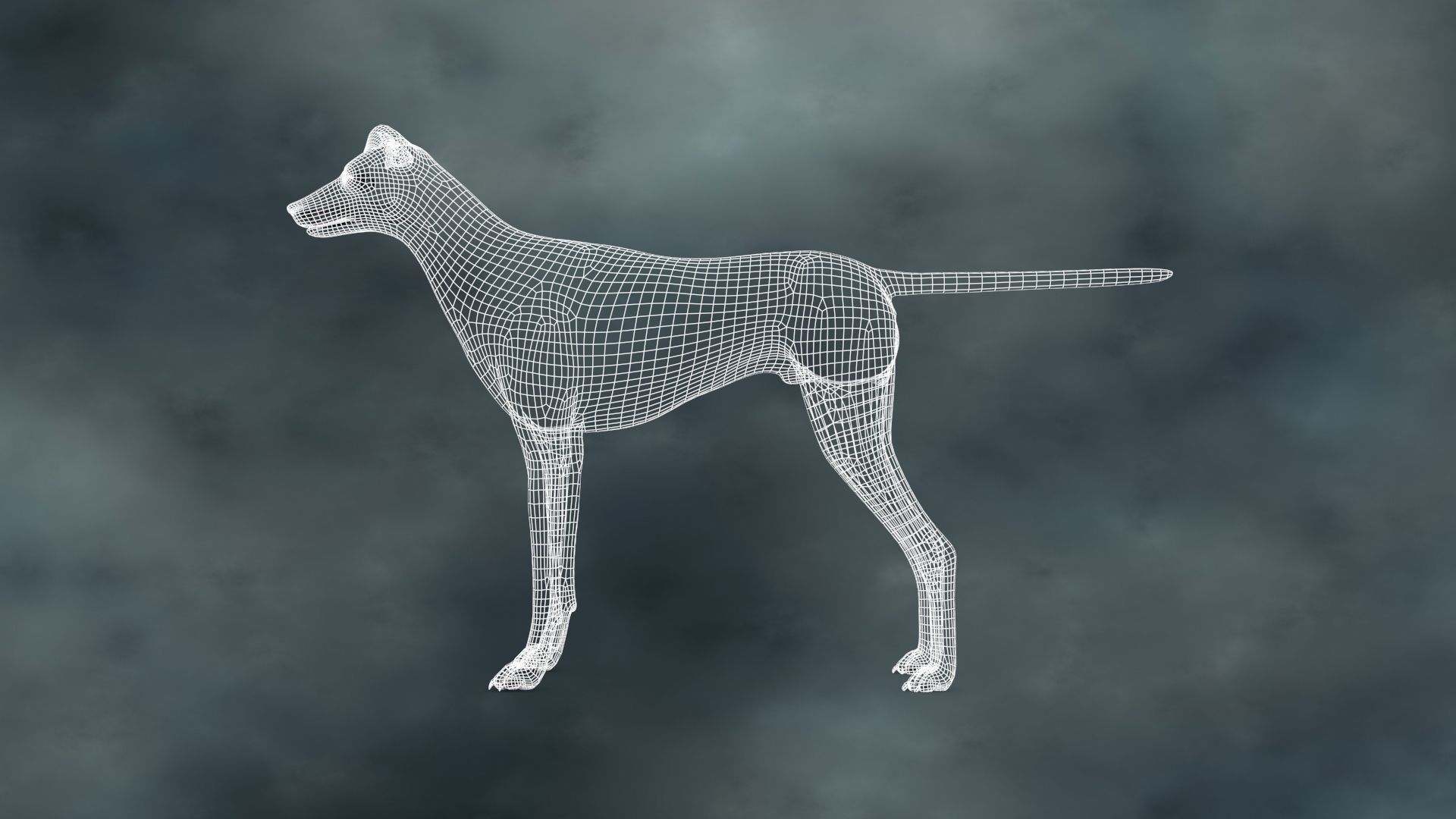 MDGH-003 Rigged Dog 3D model_4