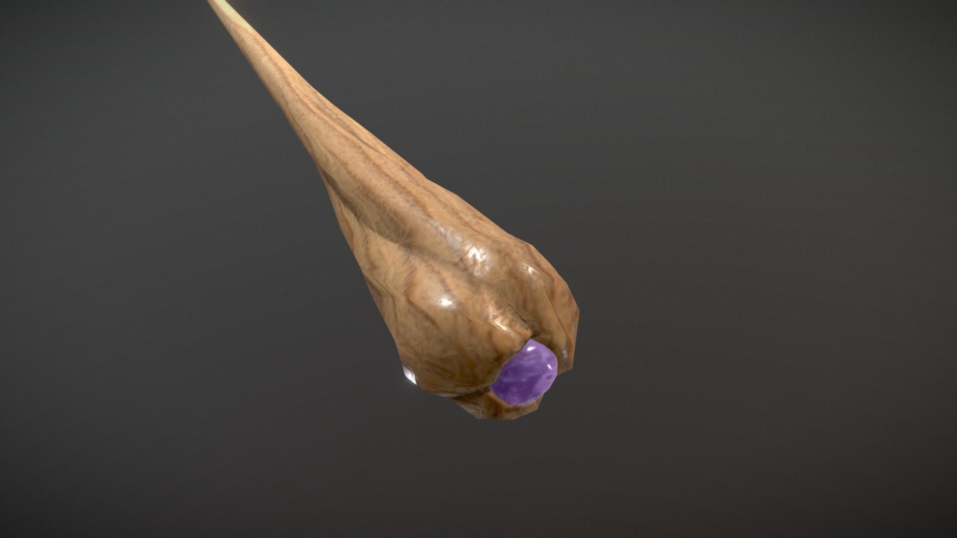 Wood Wand Low-poly 3D model_4