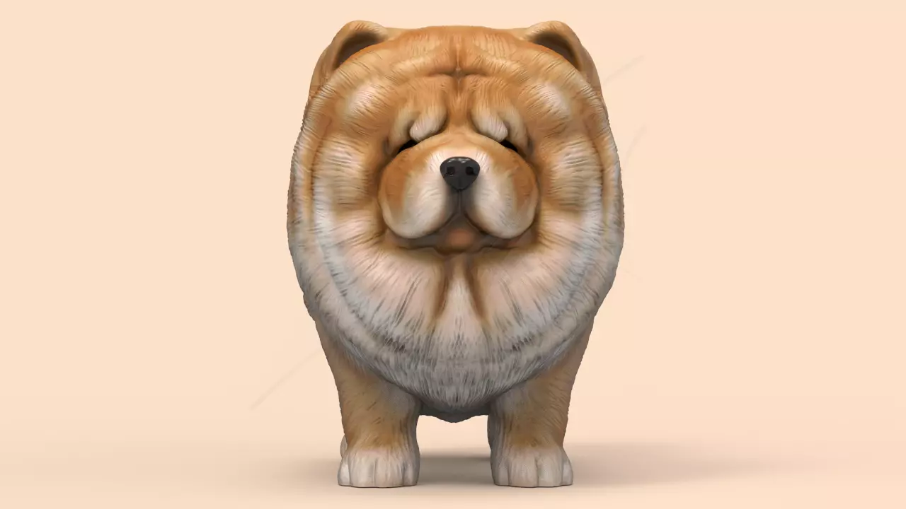Cute Chow Chow STL and VRML 3D print model