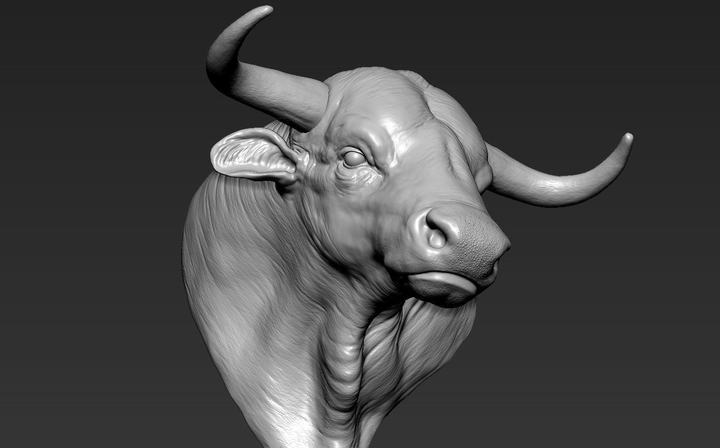 Head Bull 3D print model_12