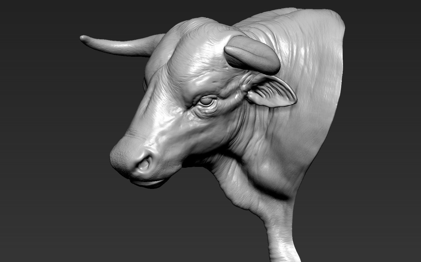 Head Bull 3D print model_11