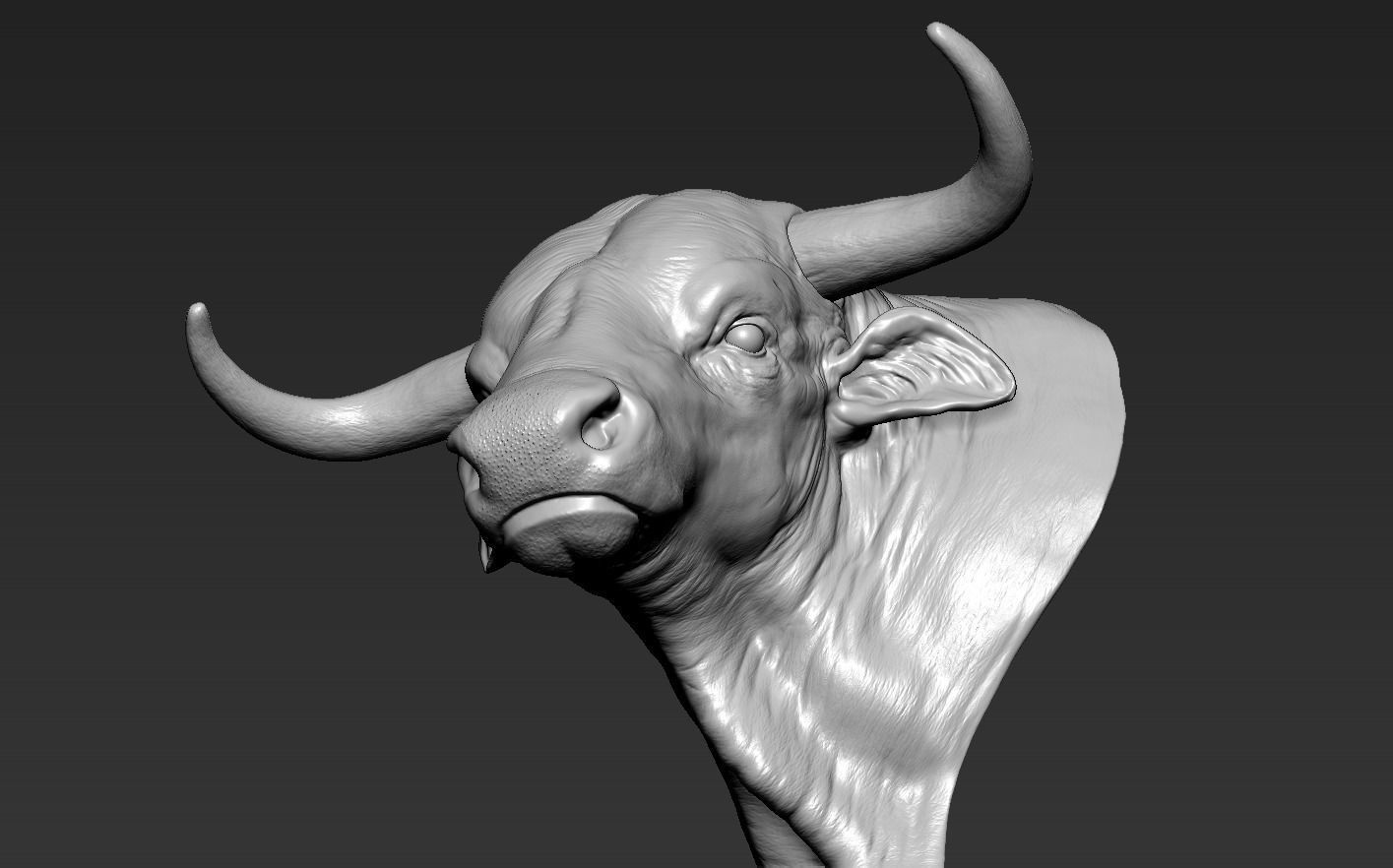 Head Bull 3D print model_13