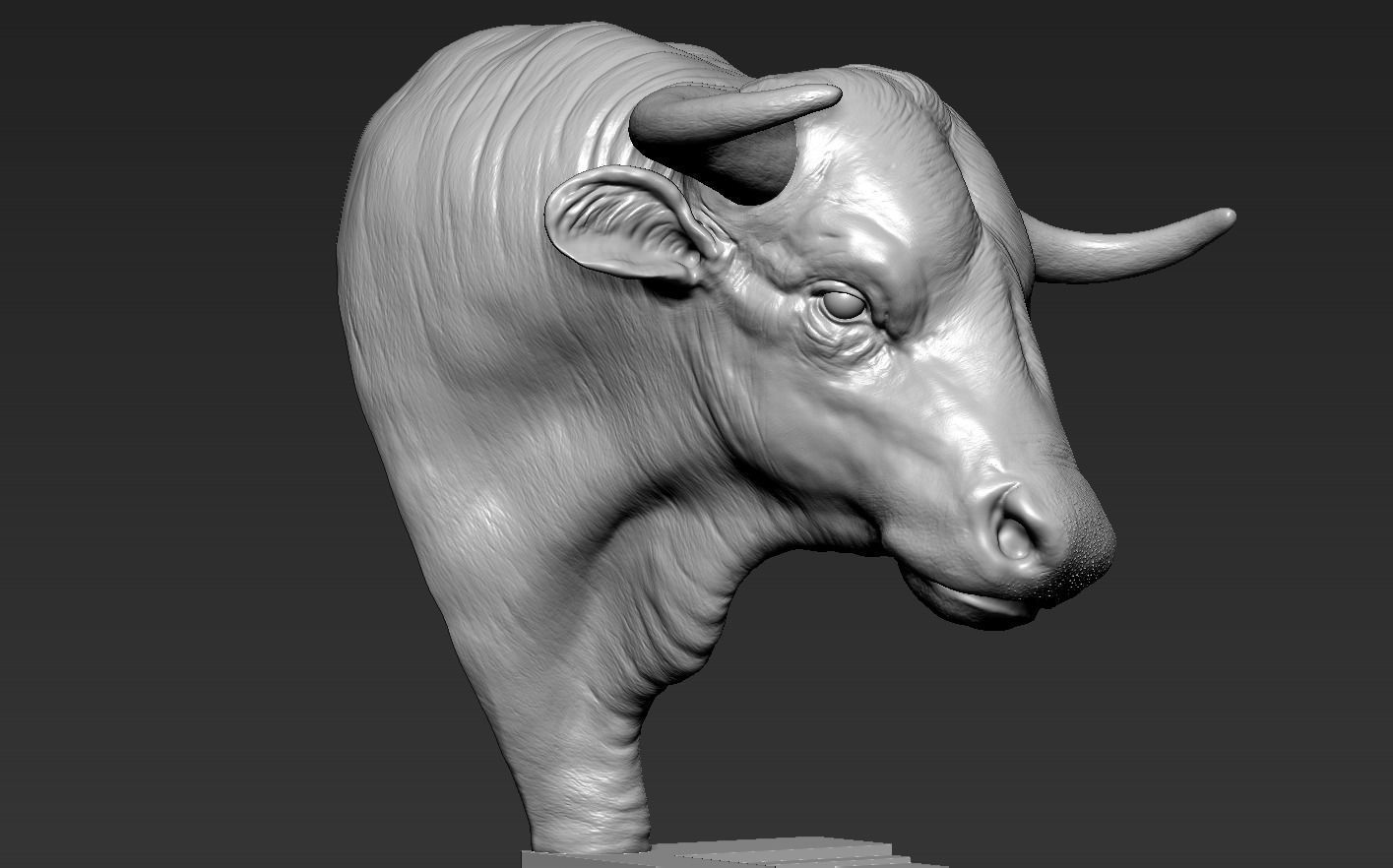 Head Bull 3D print model_10