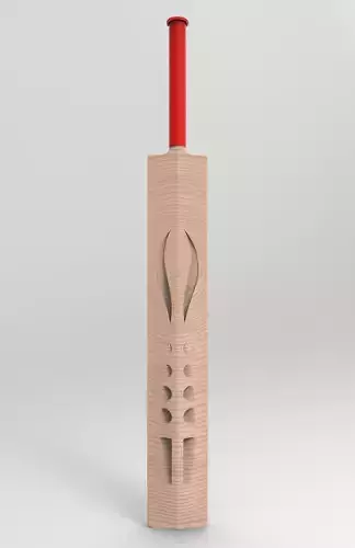 CRICKET BAT