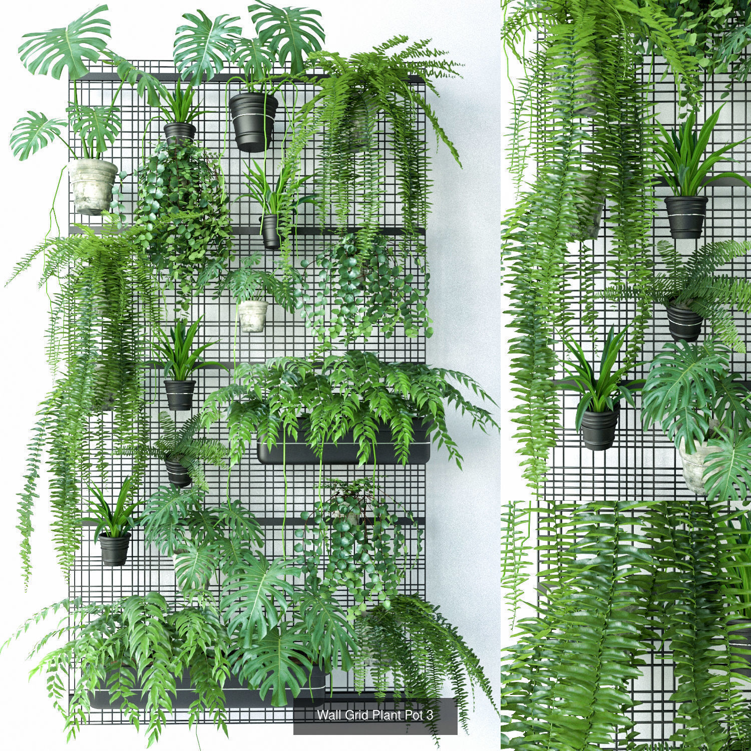 Wall Grid Plant Pot 3D Model Collection CGTrader