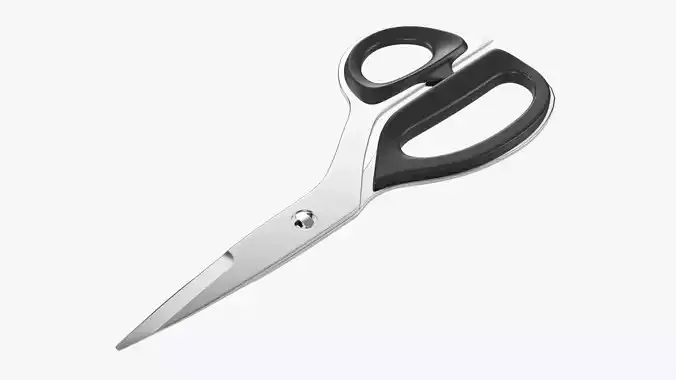 Kitchen scissors 01