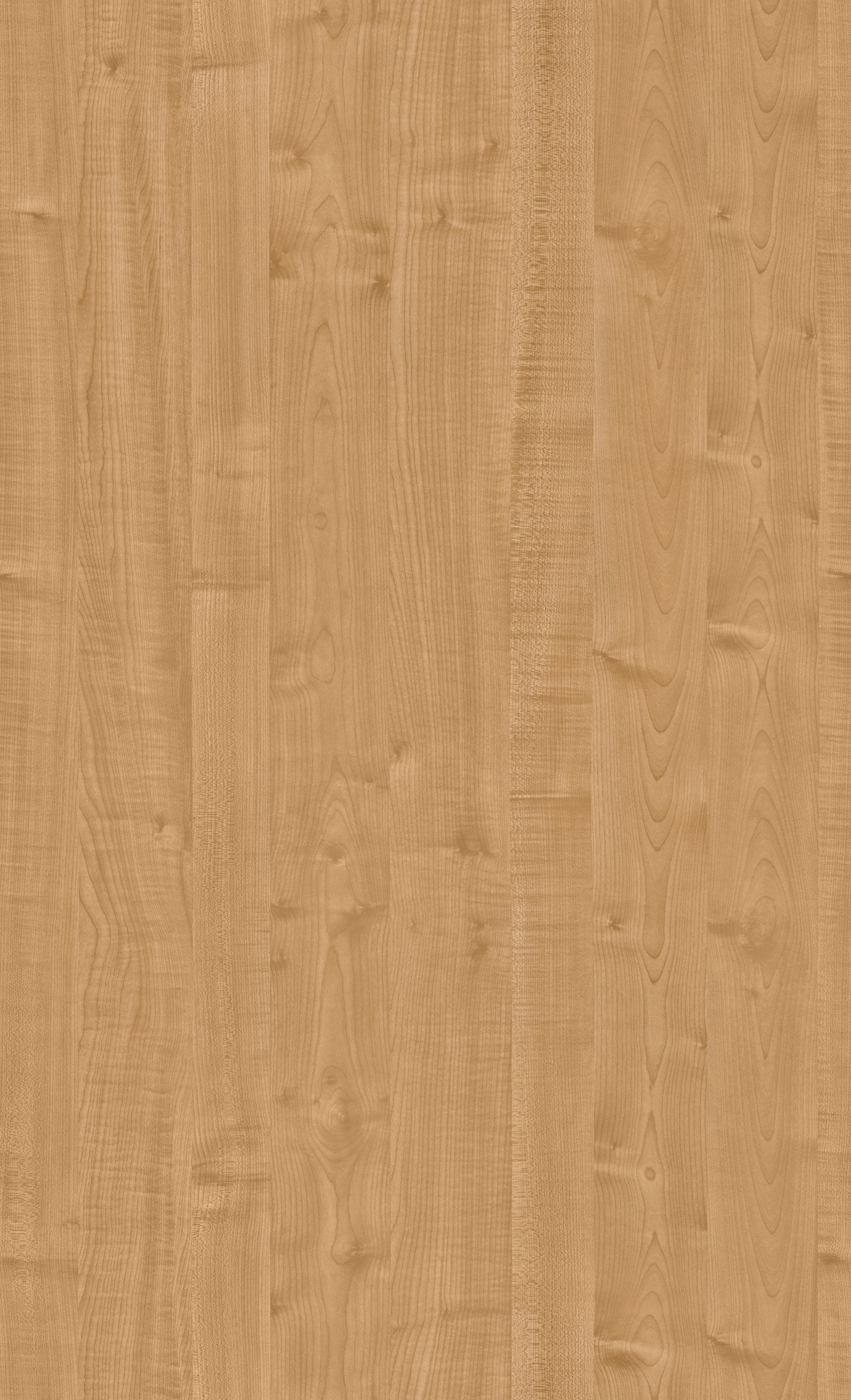 Guitar combo lowpoly 3D model_7