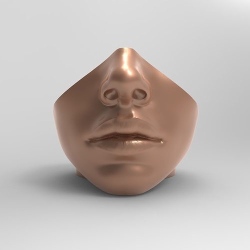 Head vase  3D print model