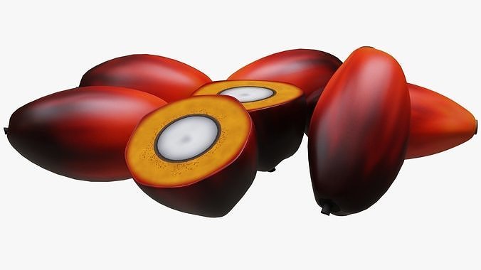Oil Palm Fruits 3D model 2