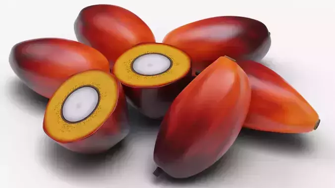 Oil Palm Fruits 3D model