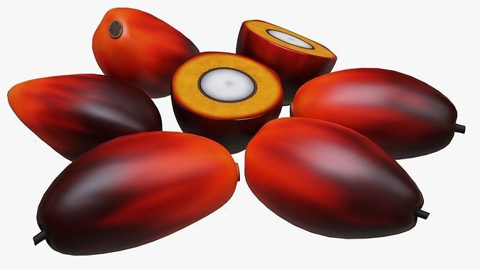 Oil Palm Fruits 3D model 5