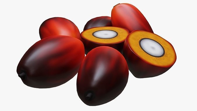 Oil Palm Fruits 3D model 4