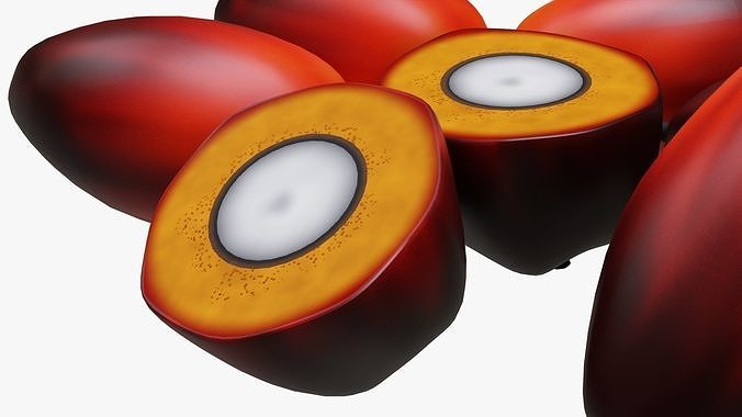 Oil Palm Fruits 3D model 6
