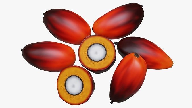 Oil Palm Fruits 3D model 3