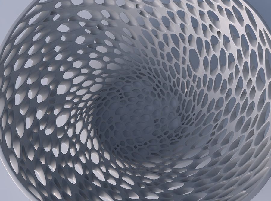 Bowl wide with organic lattice and twisted thickness 3D print model_2