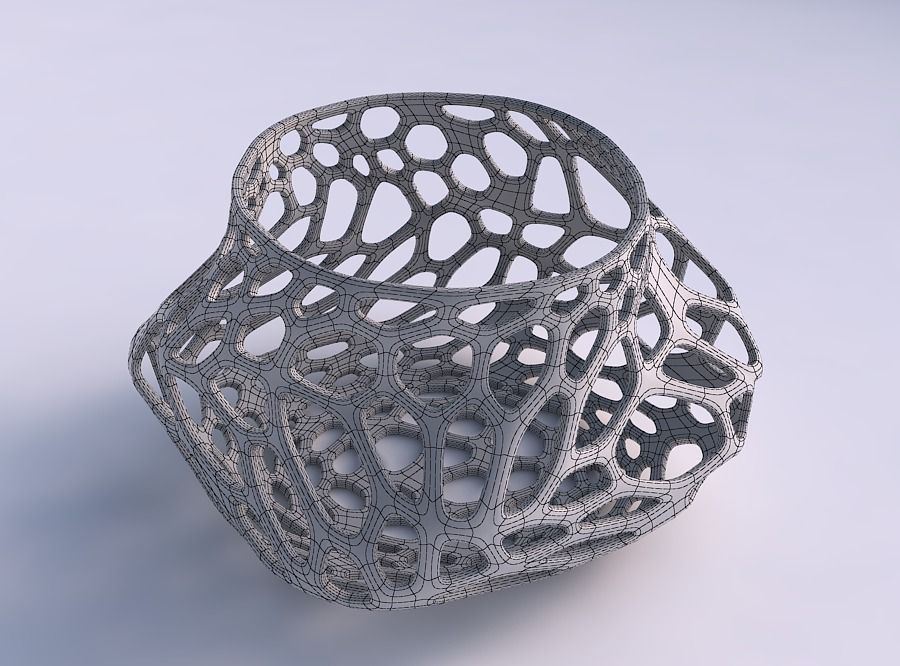 Bowl twisted elipse with twisted organic lattice 3D print model_5