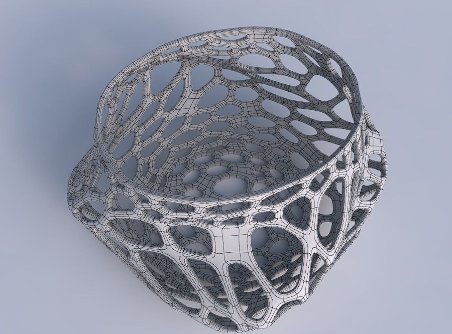 Bowl twisted elipse with twisted organic lattice 3D print model_6