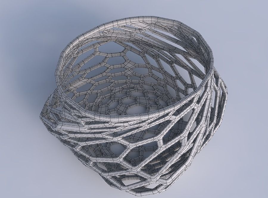 Bowl twisted elipse with faceted organic lattice 3D print model_6