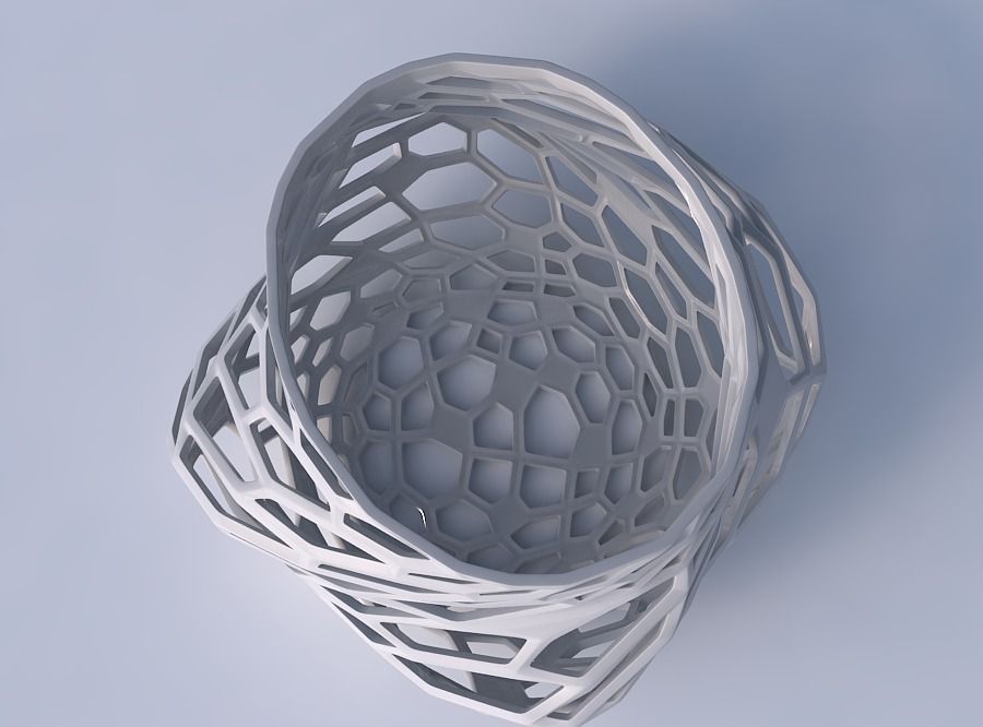 Bowl twisted elipse with faceted organic lattice 3D print model_2