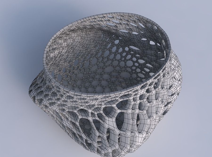 Bowl twisted elipse with organic lattice and twisted thickness 2 3D print model_6