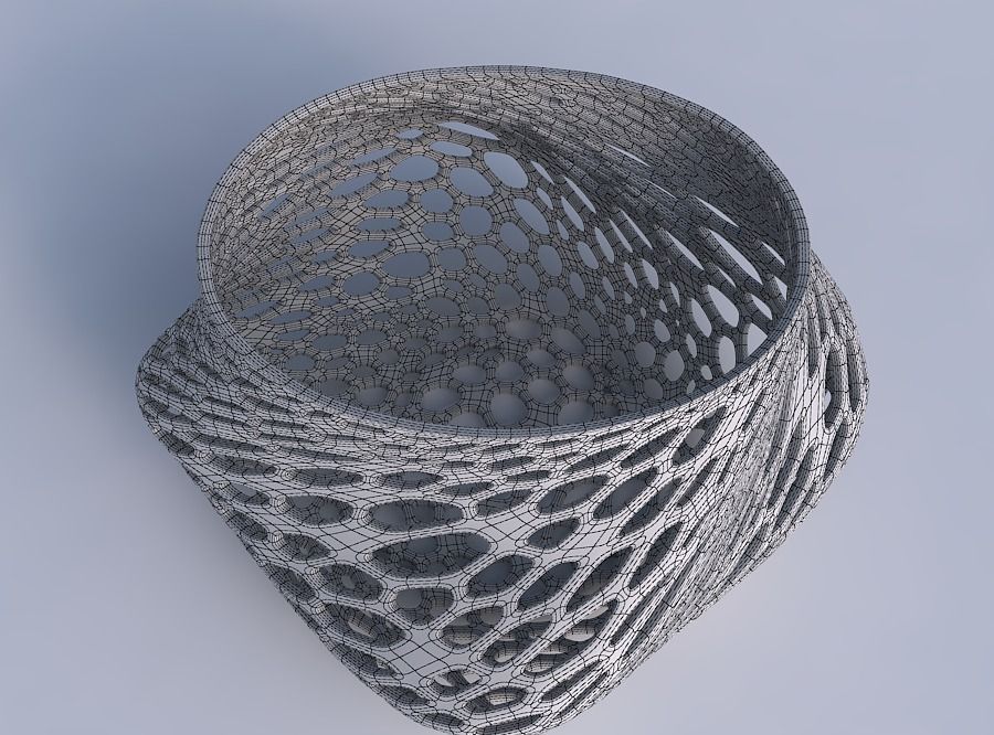 Bowl twisted elipse with fine organic lattice 3D print model_6