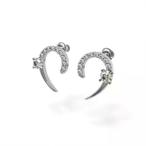 Earrings two diamond stud