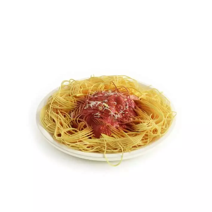 Meal Spaghetti With Red Sauce 3D model_0