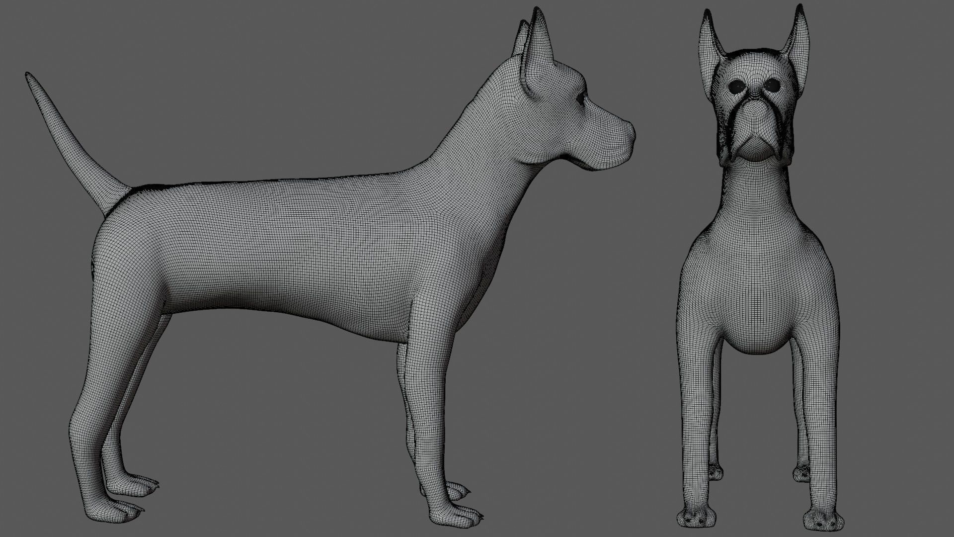Great Dane Dog Low-poly 3D model_9