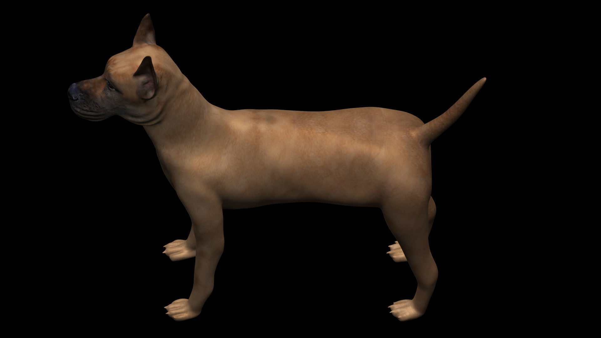 Great Dane Dog Low-poly 3D model_6