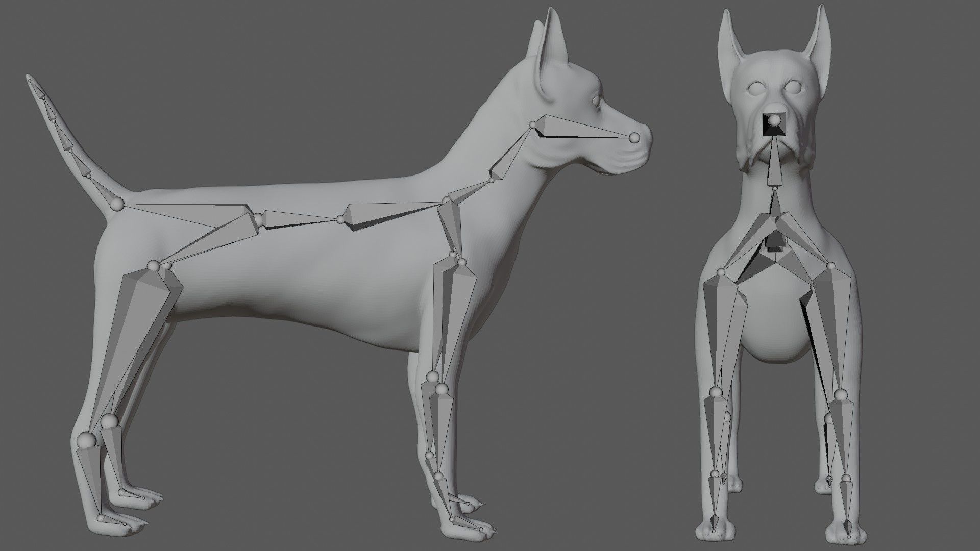 Great Dane Dog Low-poly 3D model_8