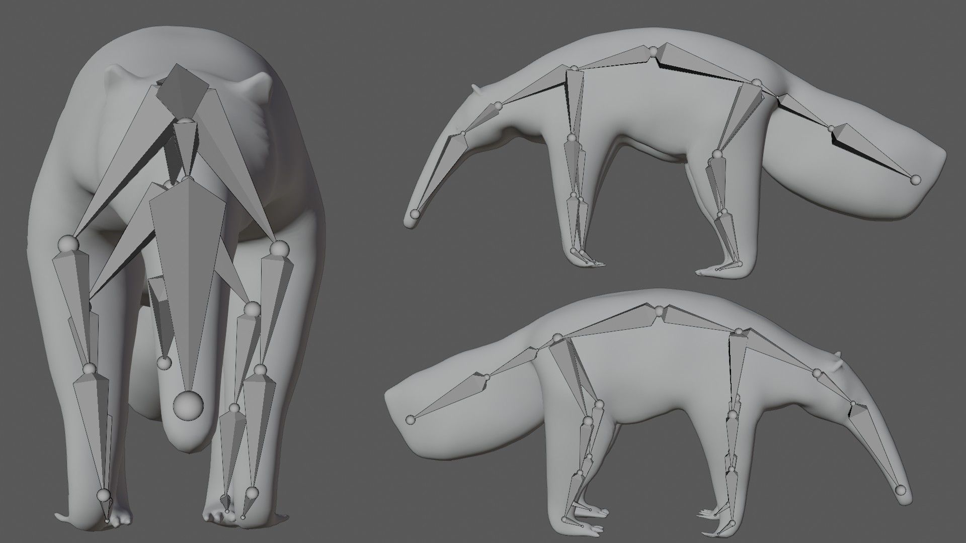 Anteater ant eater Low-poly 3D model_7